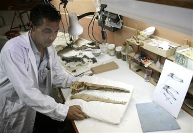 Fossil bird from Peru